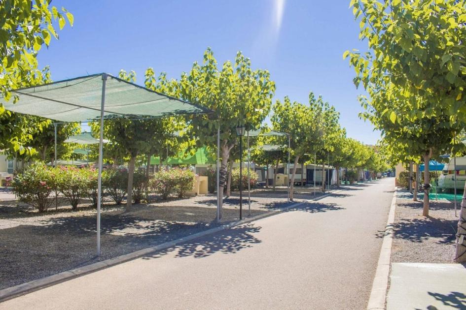 Camping Y Bungalows Monmar Moncofar Ngoại thất bức ảnh