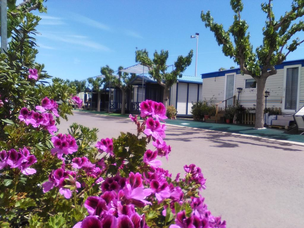 Camping Y Bungalows Monmar Moncofar Ngoại thất bức ảnh