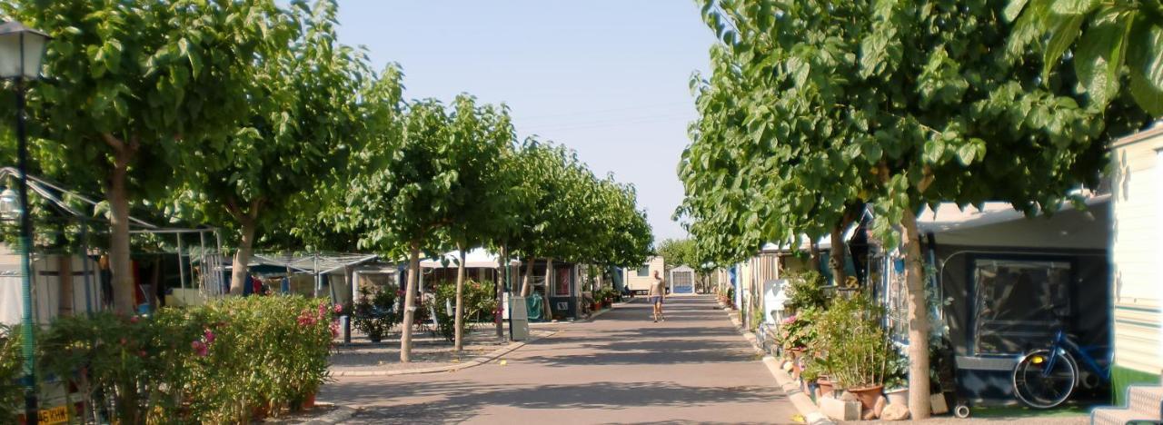 Camping Y Bungalows Monmar Moncofar Ngoại thất bức ảnh